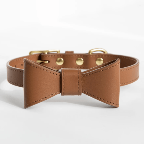 Bow Leather Collar Brown - Sir Dogwood