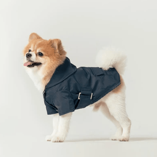 Hooded Raincoat Blue - Sir Dogwood