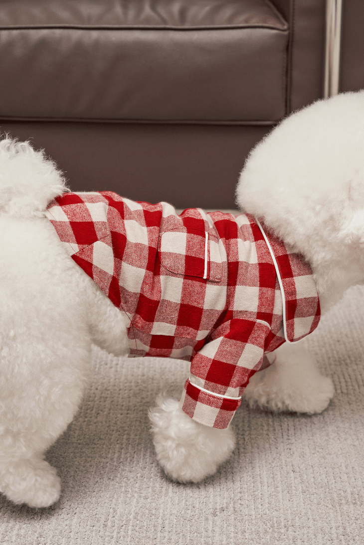 Check Cotton Pajamas Red - Sir Dogwood